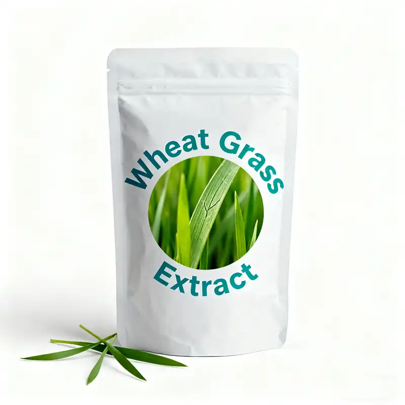 Best Wheatgrass Powder